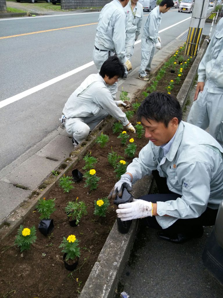 花壇にマリーゴールドを